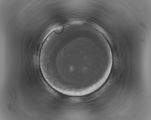 X0000112531194200909281031