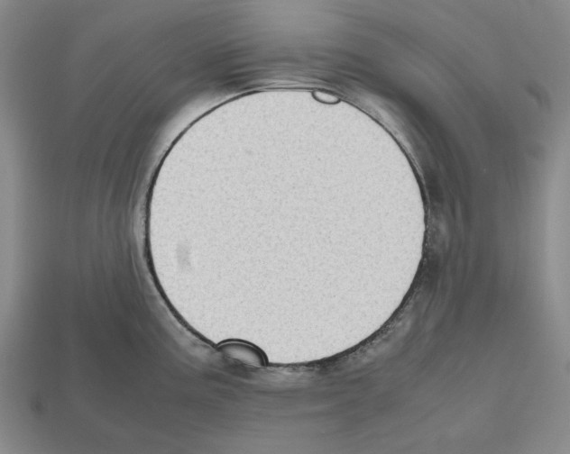 X0000112531195200909281031