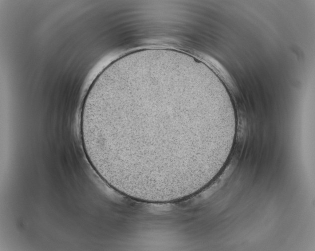 X0000112531196200909281031