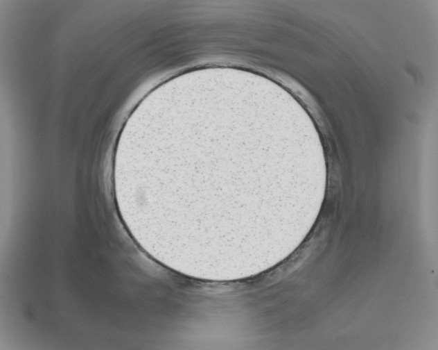 X0000112531199200909281031