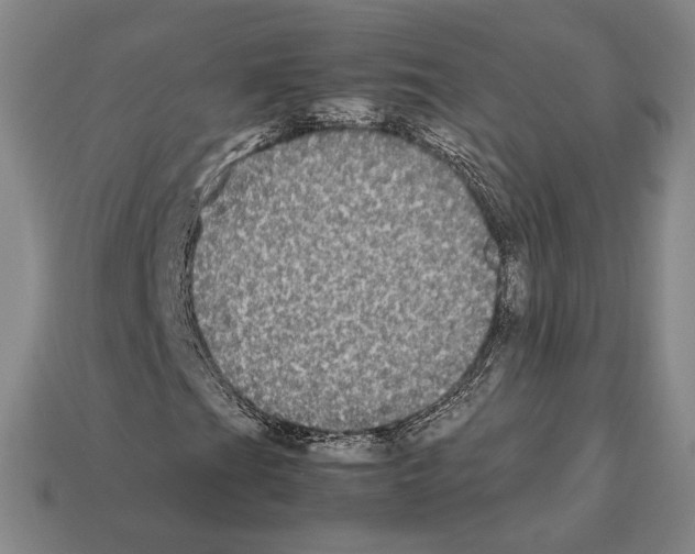 X0000112531201200909281030