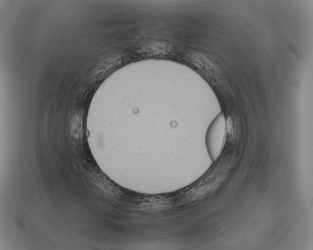 X0000112531203200909281030