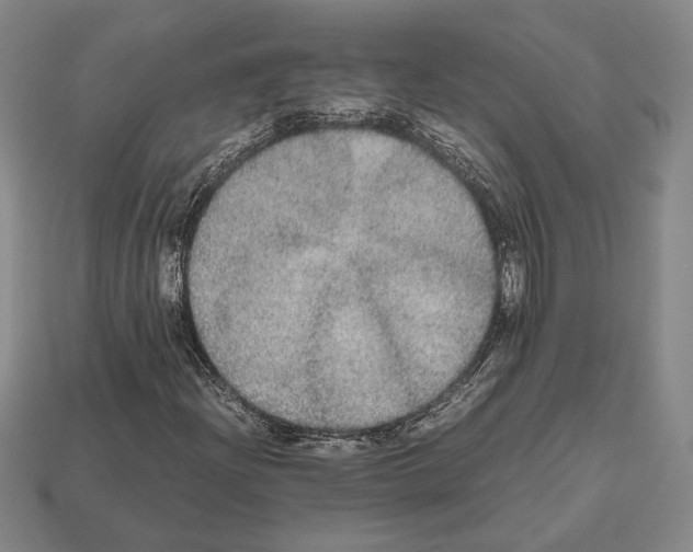 X0000112531204200909281030