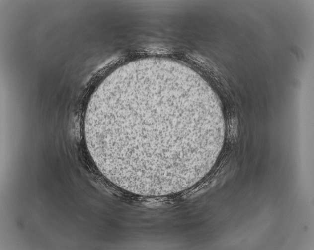 X0000112531205200909281030