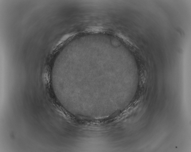 X0000112531206200909281030