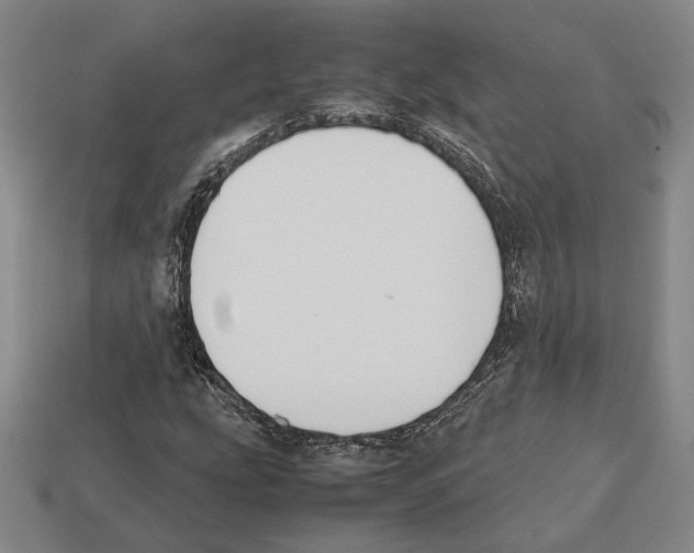 X0000112531207200909281030