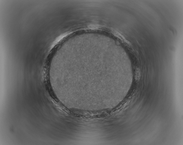 X0000112531208200909281031