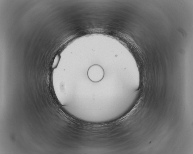 X0000112531209200909281031