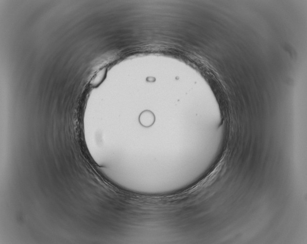 X0000112531210200909281031