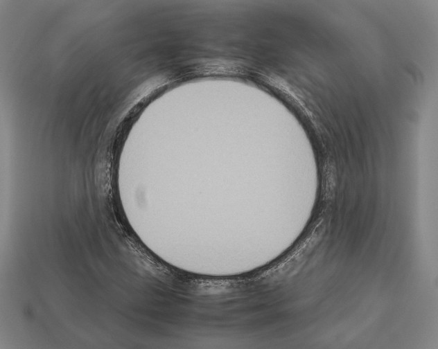 X0000112531211200909281031