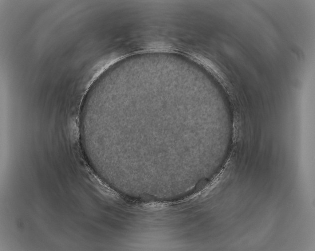 X0000112531212200909281031