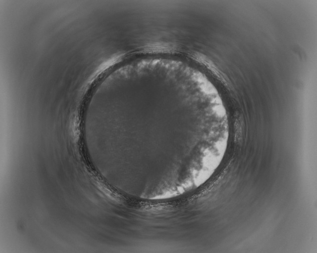 X0000112531213200909281031