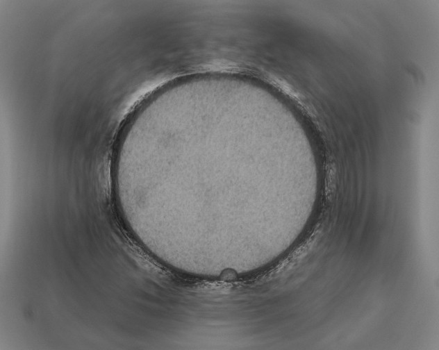 X0000112531214200909281031