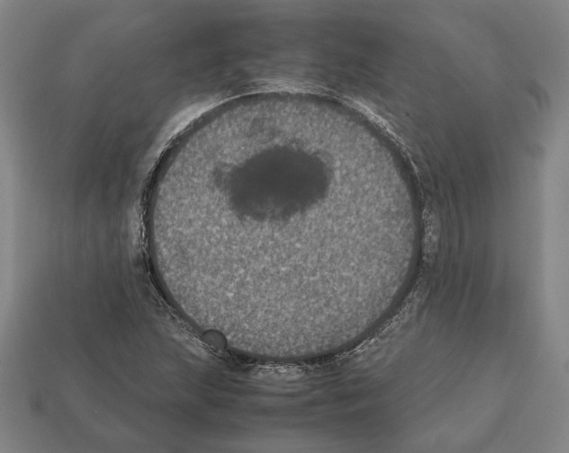 X0000112531215200909281031