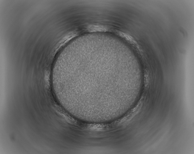 X0000112531217200909281031