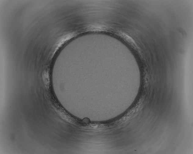 X0000112531218200909281031