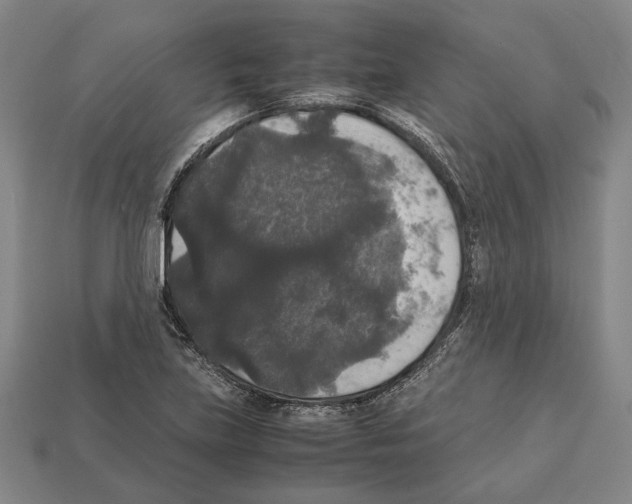 X0000112531219200909281031