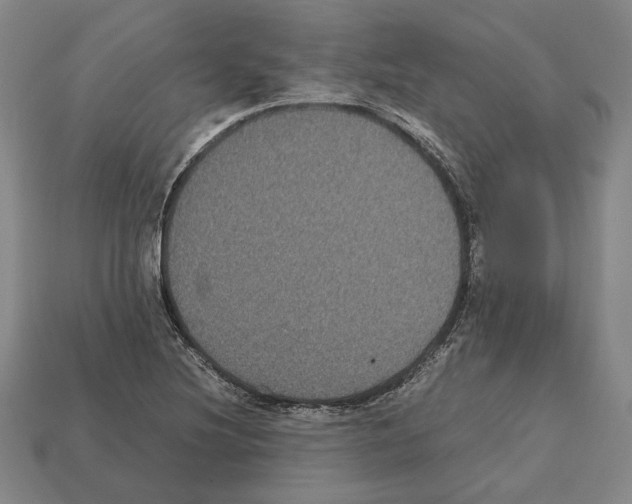 X0000112531220200909281031