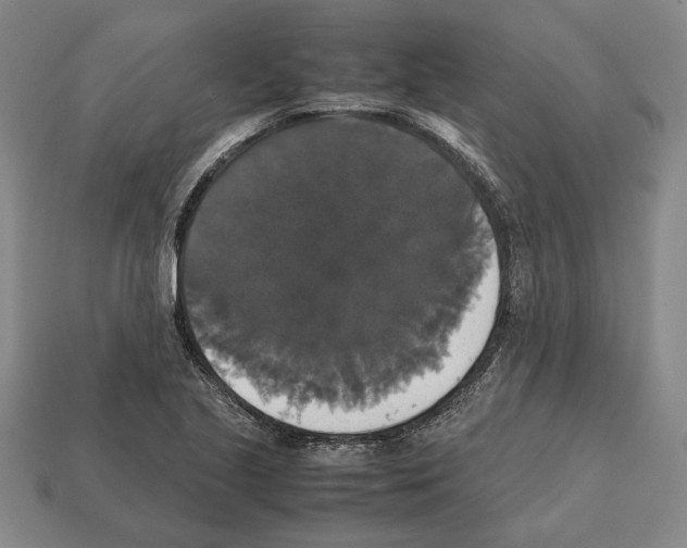 X0000112531221200909281031