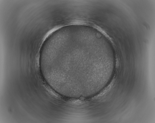 X0000112531222200909281031