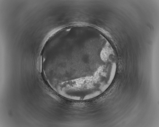 X0000112531223200909281031