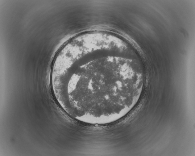 X0000112531224200909281031