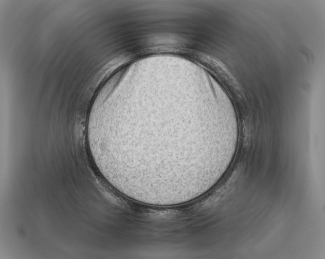 X0000112531225200909281031