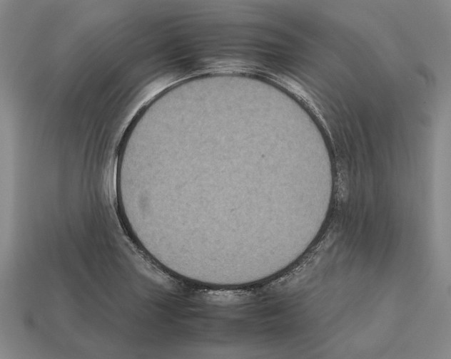 X0000112531227200909281031