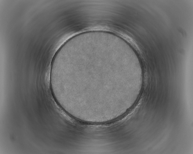 X0000112531228200909281031