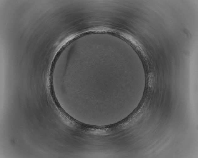 X0000112531229200909281031