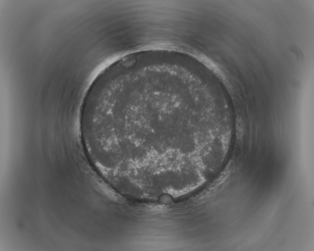 X0000112531230200909281031