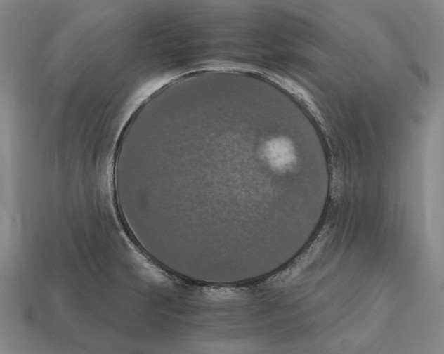 X0000112531231200909281031