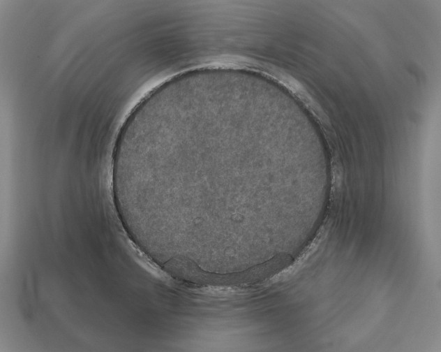 X0000112531232200909281031