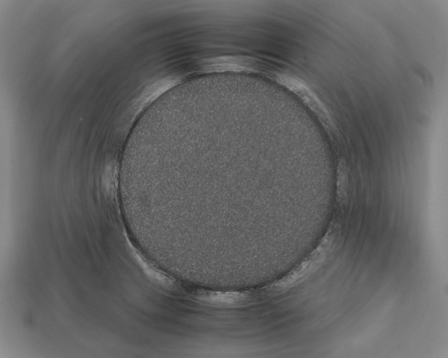 X0000112531233200909281031