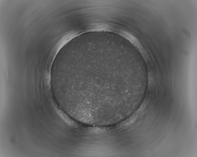 X0000112531234200909281031