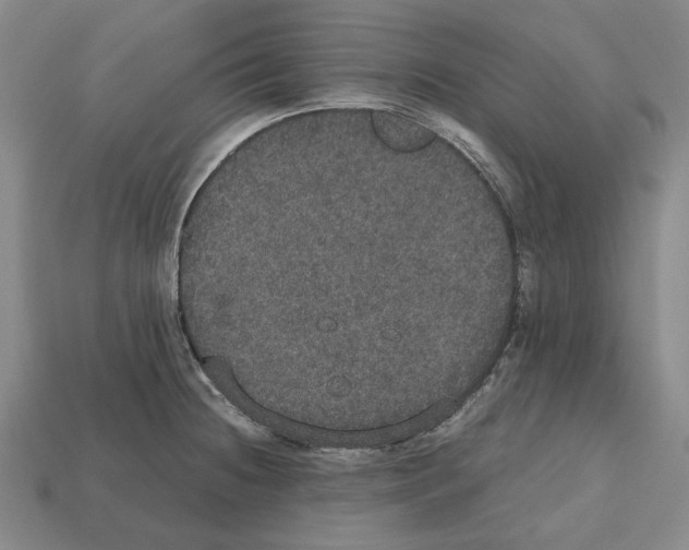 X0000112531236200909281031