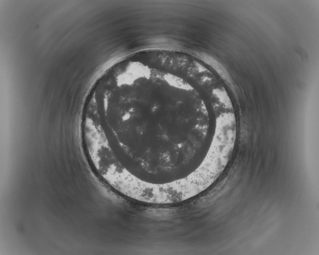 X0000112531237200909281031