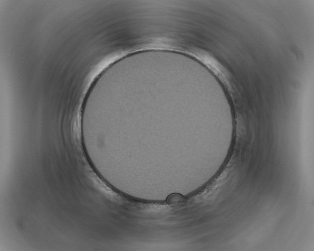 X0000112531238200909281031