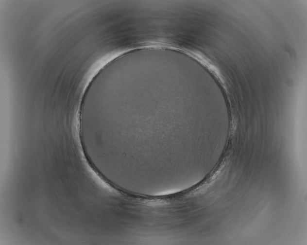 X0000112531239200909281031