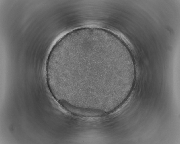 X0000112531240200909281031