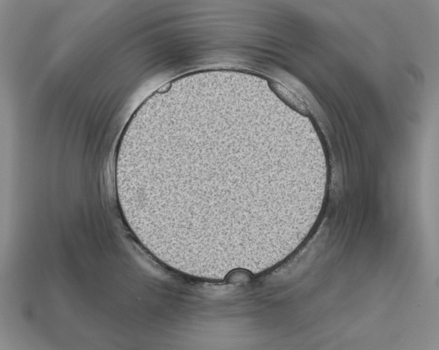 X0000112531242200909281031