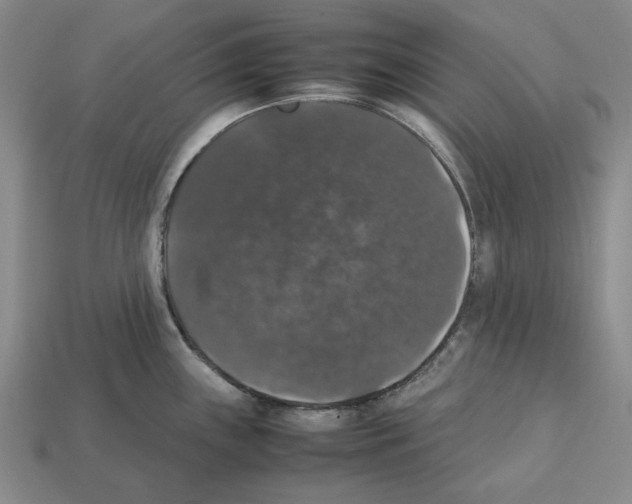 X0000112531243200909281031