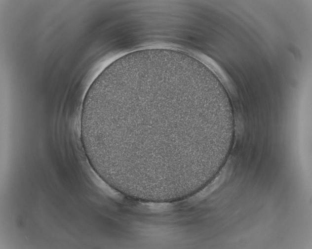 X0000112531244200909281031