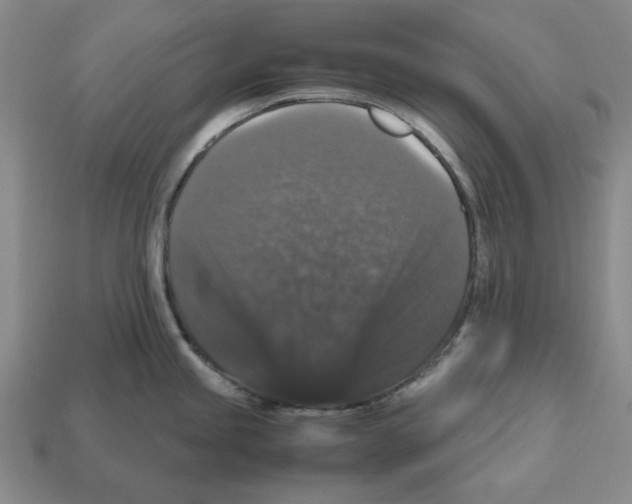 X0000112531245200909281031