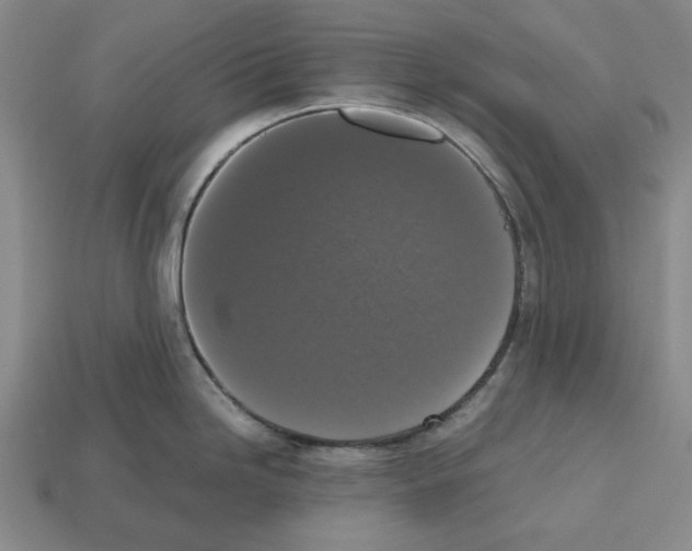 X0000112531246200909281031