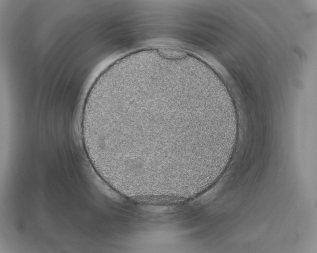 X0000112531248200909281031