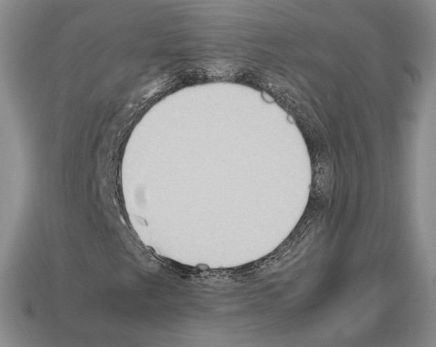 X0000112531249200909281030