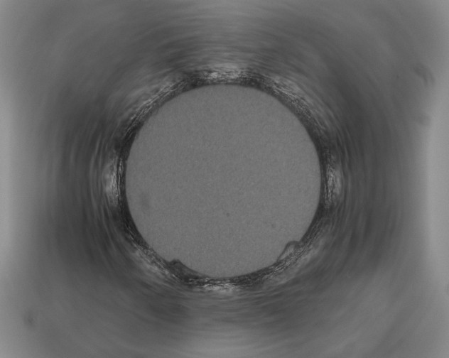 X0000112531250200909281030