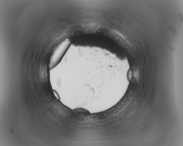 X0000112531252200909281030