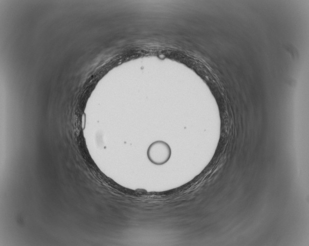 X0000112531253200909281030